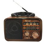 رادیو - اسپیکر بلوتوثی گولون مدل RX-BT031s